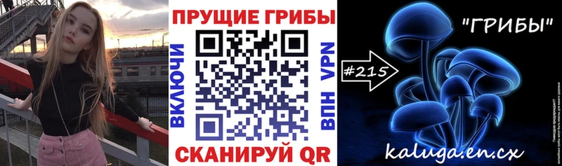 дарк нет состав  закладка  Чкаловск  Галлюциногенные грибы мухоморы  блэк спрут ссылка 
